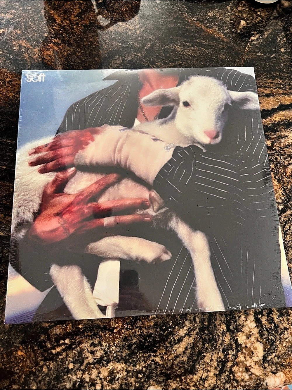 Soft Vinyl Record by Lany